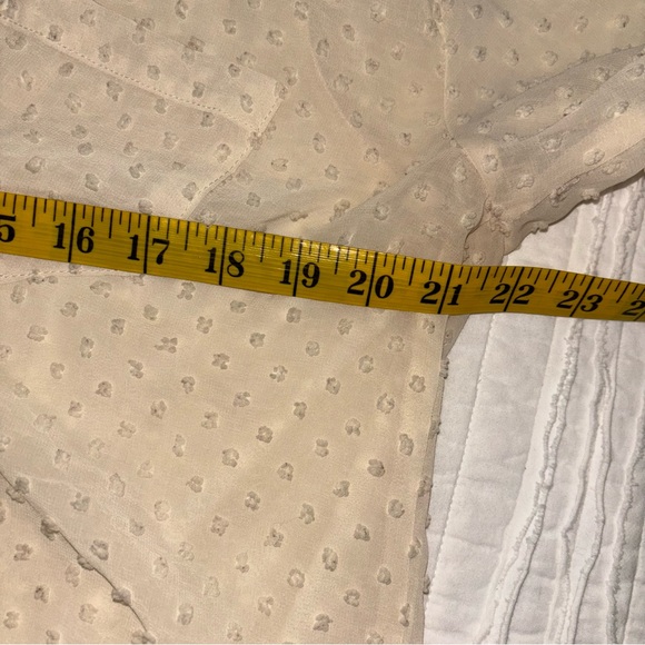 Lumiere Off-White Swiss dot Sheer Blouse - Picture 9 of 9